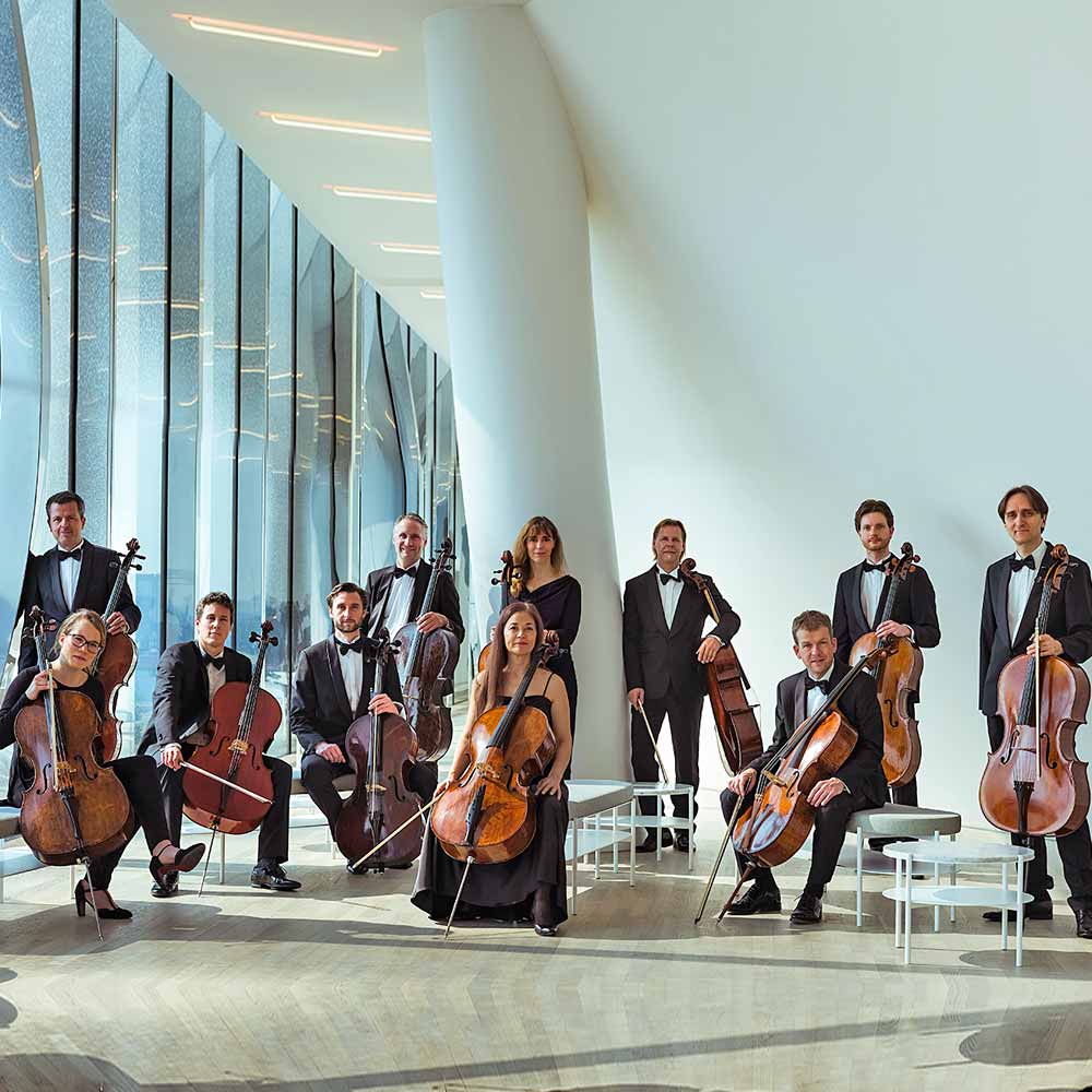 ElphCellisten - Die Cellisten des NDR Elbphilharmonie Orchesters